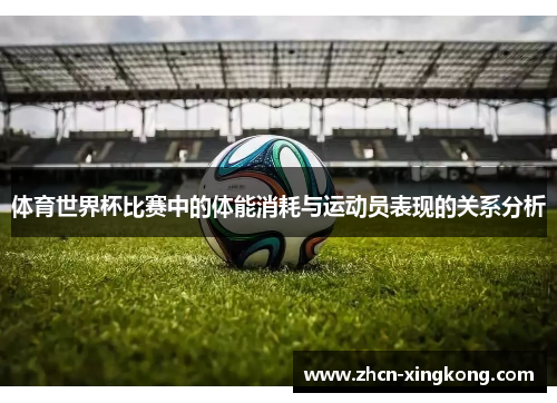 体育世界杯比赛中的体能消耗与运动员表现的关系分析
