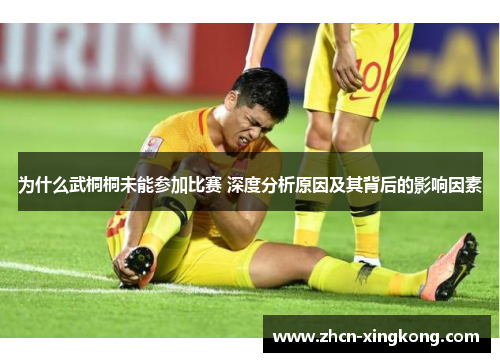 为什么武桐桐未能参加比赛 深度分析原因及其背后的影响因素 为什么武桐桐未能参加比赛 深度分析原因及其背后的影响因素