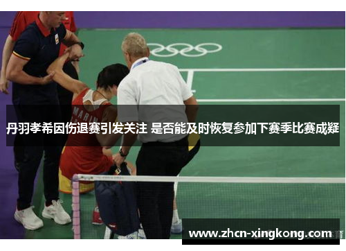 丹羽孝希因伤退赛引发关注 是否能及时恢复参加下赛季比赛成疑