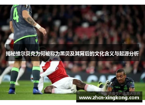 揭秘维尔贝克为何被称为黑贝及其背后的文化含义与起源分析 揭秘维尔贝克为何被称为黑贝及其背后的文化含义与起源分析