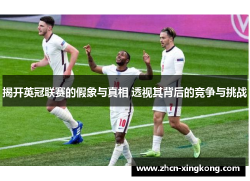 揭开英冠联赛的假象与真相 透视其背后的竞争与挑战